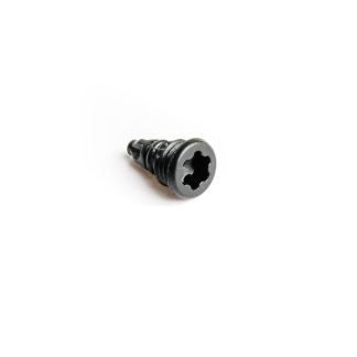 Magura EBT screws with O-ring, screw plug, T25
