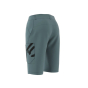 FiveTen Brand of the Brave Shorts Women hazy emerald