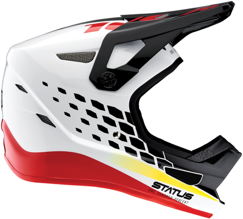 100% Status DH/BMX helmet Pacer